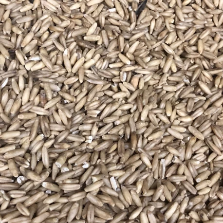 Avoine Pelée 25kg - Beyers 4 Avoine Pelée 25kg - Beyers – Image 2