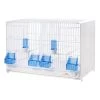 Cage D'élevage Pliable 58x30x39h Cm 1 Cage D'élevage Pliable 58x30x39h Cm -Oiseaux Fournitures Magasin cage d elevage pliable 58x30x39h cm