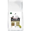 VERSELE-LAGA Insect Patee Premium 10kg - Aliment Complet Pour Tous Les Insectivores 2 VERSELE-LAGA Insect Patee Premium 10kg - Aliment Complet Pour Tous Les Insectivores -Oiseaux Fournitures Magasin insect patee premium 10kg aliment complet pour tous les insectivores