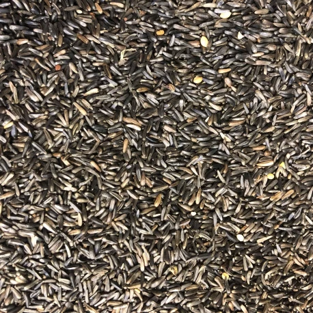 Graines De Niger 15 Kg 4 Graines De Niger 15 Kg – Image 2