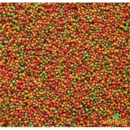 VERSELE-LAGA Nutribird B14 3kg 4 VERSELE-LAGA Nutribird B14 3kg – Image 2