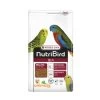 VERSELE-LAGA Nutribird B14 3kg -Oiseaux Fournitures Magasin nutribird b14 800gr