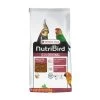 VERSELE-LAGA Nutribird G14 Original 10kg 1 VERSELE-LAGA Nutribird G14 Original 10kg -Oiseaux Fournitures Magasin nutribird g14 original 10kg