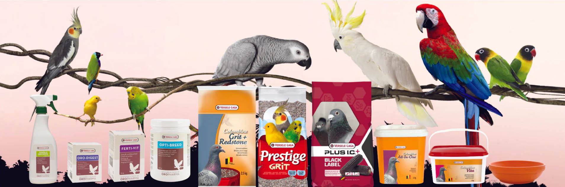 Oiseaux Fournitures Magasin -Oiseaux Fournitures Magasin ghjghj